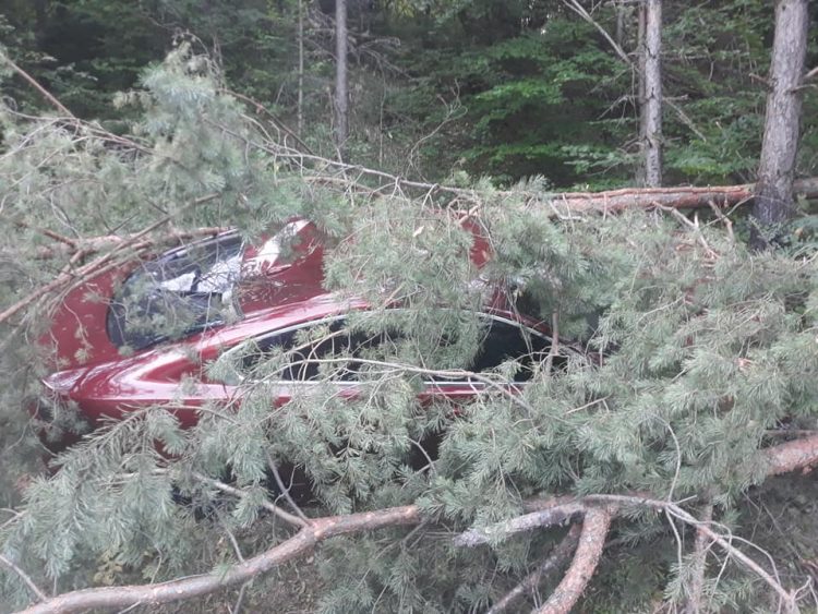 Accident pe Pietriș: A ajuns cu autoturismul între copaci