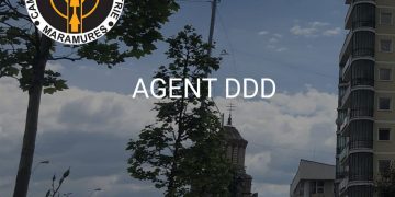 „Agent dezinfecție, deratizare, dezinsecție” – curs organizat de CCI Maramureș