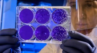 Maramureșenii au o nouă sectie de biologie moleculara si analiza genetica
