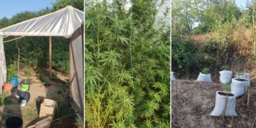 Fiu de preot, reţinut de procurorii DIICOT pentru trafic de droguri