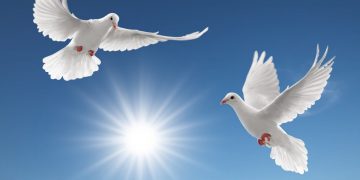 21 septembrie – Ziua internaţională a păcii