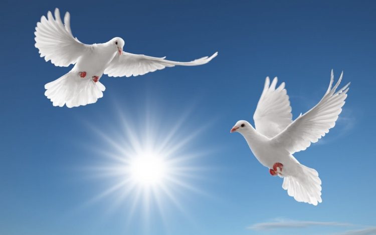 21 septembrie – Ziua internaţională a păcii