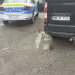 Primarii PNL din Maramureș fac turism electoral. Poliția a fost pe fază