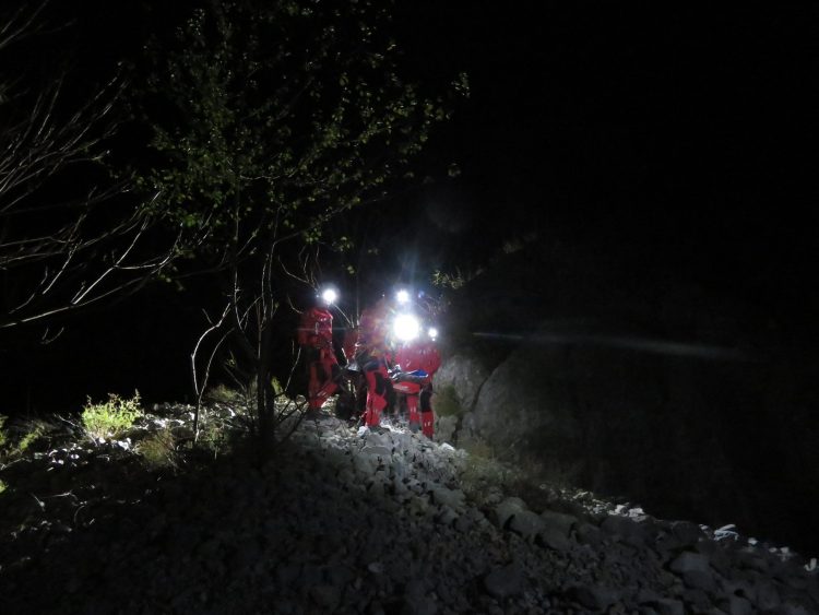 Accident de muncă mortal. Muncitor zdrobit de un copac pe Mogoşa