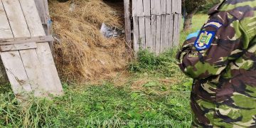 6.300 pachete cu țigări ascunse într-un șopron cu fân, descoperite de poliţiştii de frontieră la Piatra