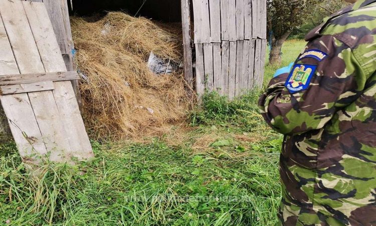 6.300 pachete cu țigări ascunse într-un șopron cu fân, descoperite de poliţiştii de frontieră la Piatra