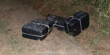Peste 2.300 pachete cu țigări confiscate la frontiera cu Ucraina