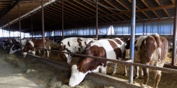 APIA lansează 3 scheme noi de sprijin pentru fermierii afectați de pandemie