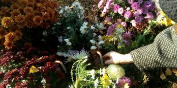 Ce se întâmplă cu LUMINAŢIILE. Este pentru prima dată când un Papă dă un DECRET în acest sens