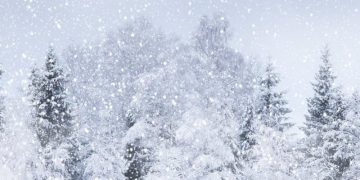 Avertizare de la meteorologi: Cod GALBEN de ninsori viscolite