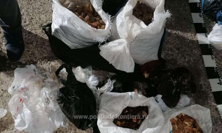 Aproximativ 250 kg de pietre semipreţioase, presupuse a fi chihlimbar, depistate la frontiera cu Ucraina