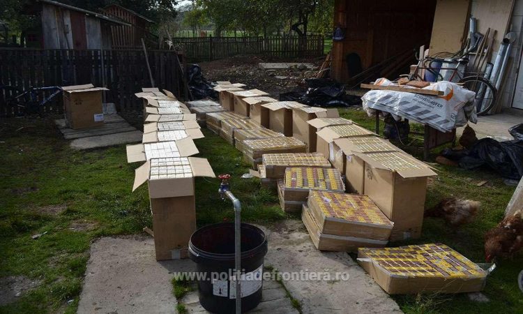 DESCINDERI la Bocicoiu Mare. Peste 15.000 pachete țigări și un autoturism confiscate din casa unui tânăr de 23 de ani