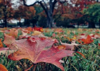 Prognoza meteo pe 2 săptămâni. Cum va fi vremea în Maramureş şi celelalte regiuni ale ţării