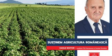 Vasile Boitor: ”Pentru agricultura românească PSD propune trei piloni și cinci direcții strategice”