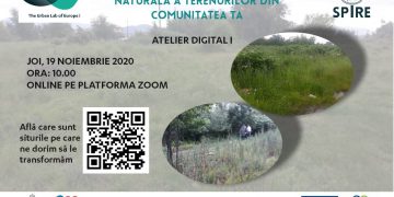 Terenurile poluate din Baia Mare, transformate cu ajutorul comunității