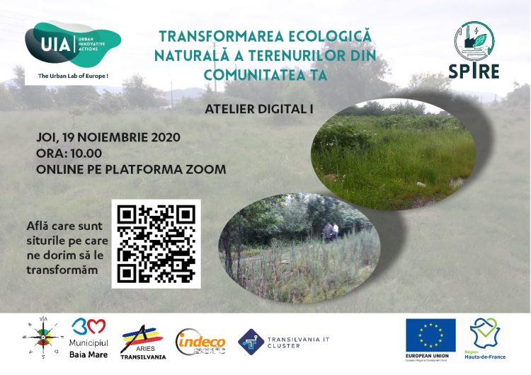 Terenurile poluate din Baia Mare, transformate cu ajutorul comunității