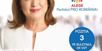 De ce este nevoie mai mult ca oricând să se producă cu adevărat o schimbare în Parlamentul României din 6 Decembrie?