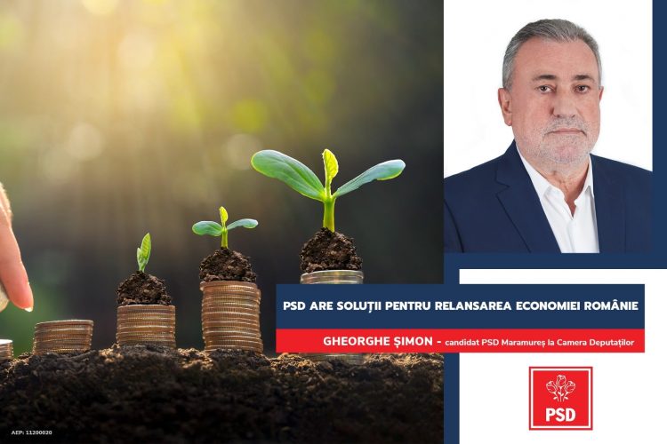 Gheorghe Șimon: ”PSD propune un pachet de măsuri de relansare economică a României”