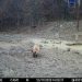 Imagini direct din natura