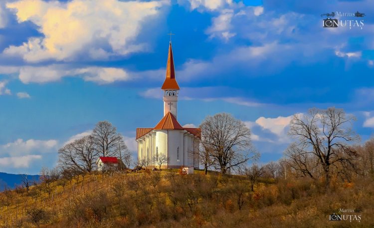 George Pop de Băsești-emblemă a dragostei de neam