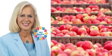 PROIECT – Cornelia Negruț, PRO MISIUNEA ieșirii din criza economică: rețea de depozite frigorifice pentru fructe și legume în Maramureș