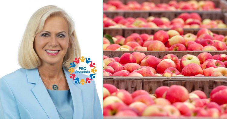 PROIECT – Cornelia Negruț, PRO MISIUNEA ieșirii din criza economică: rețea de depozite frigorifice pentru fructe și legume în Maramureș