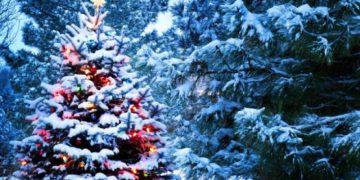 Vom avea zăpadă de Crăciun? Ce spun meteorologii