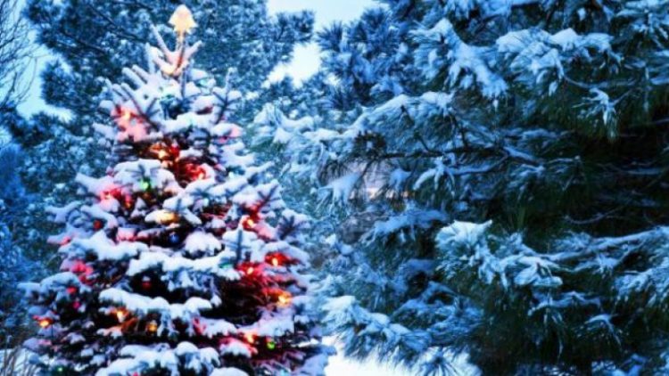 Vom avea zăpadă de Crăciun? Ce spun meteorologii