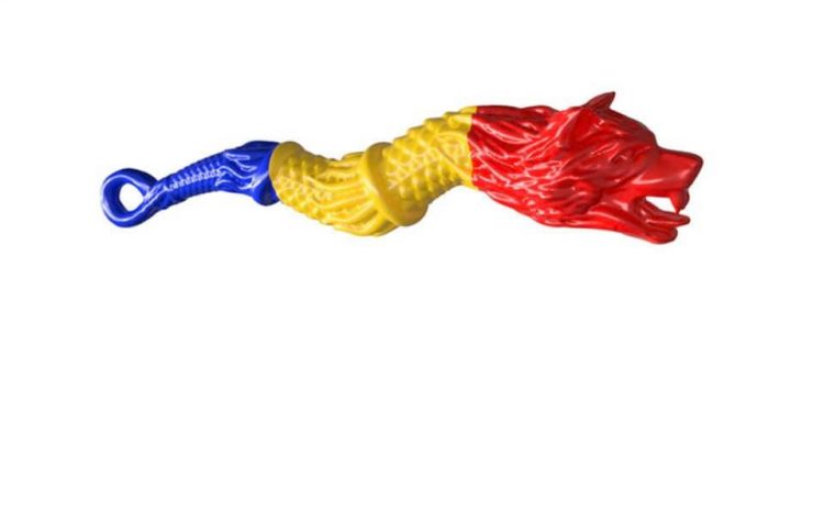 CUM TE CHEAMĂ PUI DE DAC ??