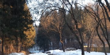 Ghinionul unui bărbat din Poienile de sub Munte: s-a răsturnat pe un drum forestier cu o maşină… neînmatriculată