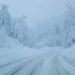 Prognoză meteo | Val de aer rece şi ninsori, până de Moş Nicolae