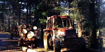 Furt de lemn depistat la Budeşti de jandarmii montani din Cavnic