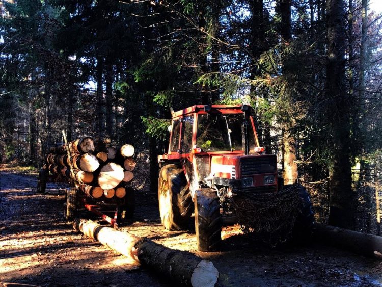Furt de lemn depistat la Budeşti de jandarmii montani din Cavnic