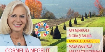 PROIECT – MARAMUREȘUL, RESURSE NATURALE  INESTIMABILE