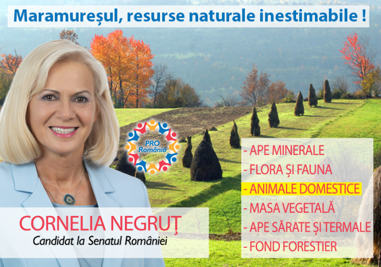 PROIECT – MARAMUREȘUL, RESURSE NATURALE  INESTIMABILE