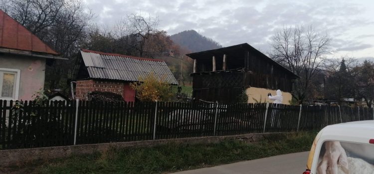 Crimă oribilă în Baia Sprie!