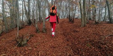 Echipajele Salvamont încearcă să ajungă la o persoană presupus decedată, în zona Bocicoiel