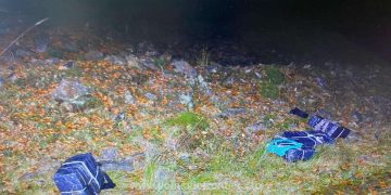 Focuri de armă şi ţigări de circa 30.000 lei, confiscate la Crasna Vișeului
