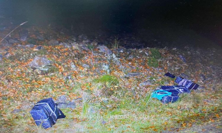 Focuri de armă şi ţigări de circa 30.000 lei, confiscate la Crasna Vișeului