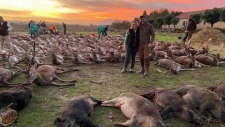 Indignare în Portugalia după ce spaniolii au ucis peste 500 de animale la o partidă de vânătoare pe teritoriul portughez