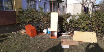 Acțiunile derulate de angajații Biroului Protecția Mediului, la nivelul municipiului Baia Mare