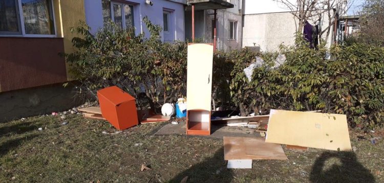 Acțiunile derulate de angajații Biroului Protecția Mediului, la nivelul municipiului Baia Mare