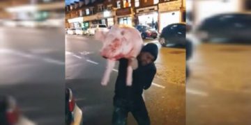 Trei români au făcut spectacol în Marea Britanie! Cu porcul tăiat, pe străzile Londrei