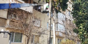 Defrişări şi toaletare de arbori în Baia Mare, la solicitarea cetăţenilor