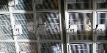 Bărbat de 31 de ani cercetat după ce a furat din dulapul de depozitare bagaje clienți dintr-un supermarket