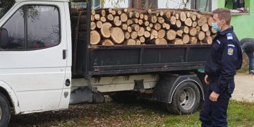 Gest făcut de doi jandarmi: au donat un camion de lemne unei femei care crește singură trei copii