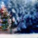Sărbători de iarnă cu temperaturi neaşteptate