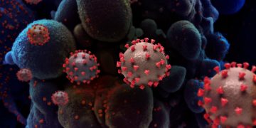 OMS, despre noua tulpină a coronavirusului: „Situaţia nu este scăpată de sub control, dar nici nu poate fi lăsată la voia întâmplării”