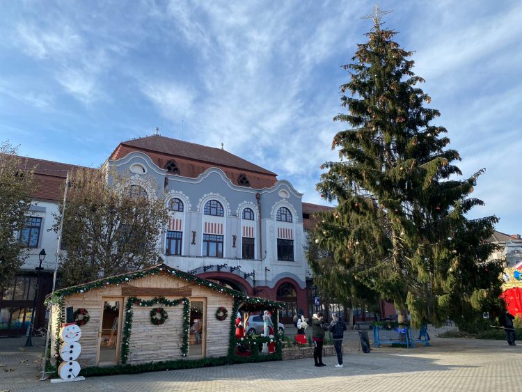 Târg de Crăciun caritabil organizat în Parcul Mara