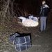 Focuri de avertisment şi ţigări de contrabandă de peste 35.000 lei confiscate la Sarasău